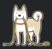 Shiba Inu Dog GIF - Shiba Inu Dog Doge GIFs