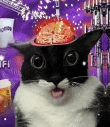 a black and white cat with a bowl of brains in its head .
