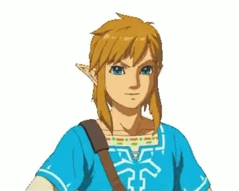 Legend Of Zelda Botw GIF - Legend of zelda Botw Totk - Discover & Share ...