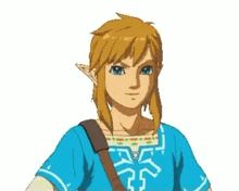 Legend Of Zelda Botw GIF - Legend Of Zelda Botw Totk GIFs