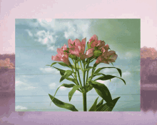 Flowers Melancholic GIF - Flowers Melancholic Nostalgic GIFs