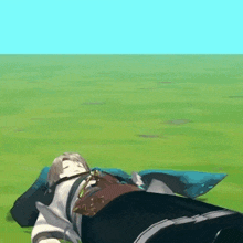 a person is laying on a blanket in a field .