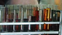 a rack of test tubes filled with brown liquids