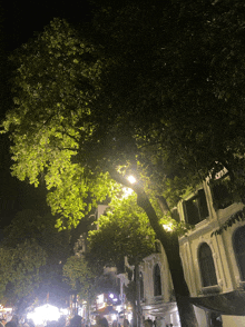 a tree with lots of leaves is lit up at night in front of a building
