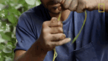 crafting hazen audel primal survivor creating plant rope