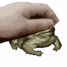 frog frogg hand pet pat frog frogg hand pet pat