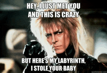 hey , i just met you and this is crazy but here 's my labyrinth , i stole your baby quickmeme.com