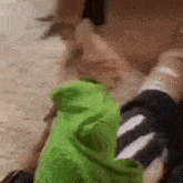 a person is holding a green bag in their hand while a dog looks on .