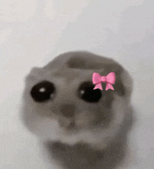 Uwu Hamster GIF - Uwu Hamster Coquette GIFs