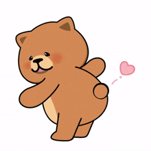 animal bear cute charming love