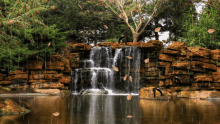 Waterfall Leaves GIF - Waterfall Leaves Trees GIFs
