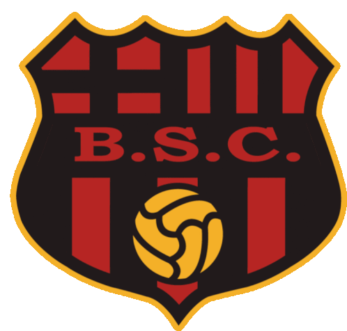 Bsc Barcelona Sticker - Bsc Barcelona Barcelonasc Stickers