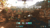 a screenshot of a video game with the words nope bye bye
