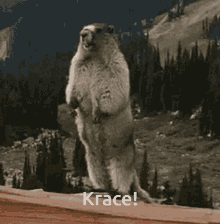 Krace Lover GIF - Krace Lover GIFs