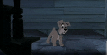 Scamp Lady And The Tramp 2 GIF - Scamp Lady And The Tramp 2 GIFs