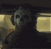 Ghost Ghost Stare GIF