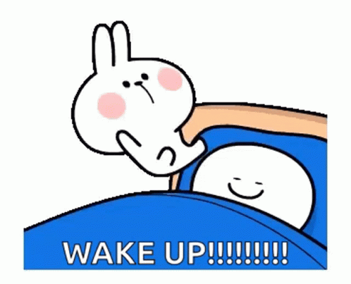 Rabbit Wake Up GIF - Rabbit Wake Up Sleeping - Discover & Share GIFs