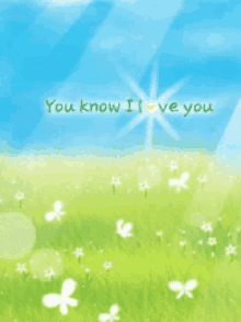 a field of flowers with the words " you know i love you " on the bottom