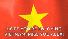 Flag Nationalflag GIF - Flag Nationalflag Vietnam GIFs