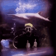 Shark Scuba Diving GIF - Shark Scuba Diving GIFs