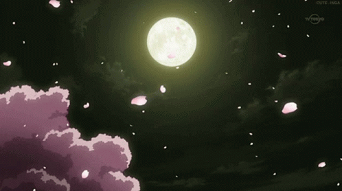 Anime Night Sky Wallpaper HD 106121 - Baltana