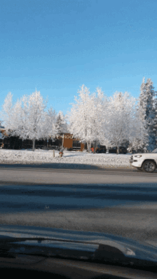 snow covered trees in front of a mcdonald 's restaurant