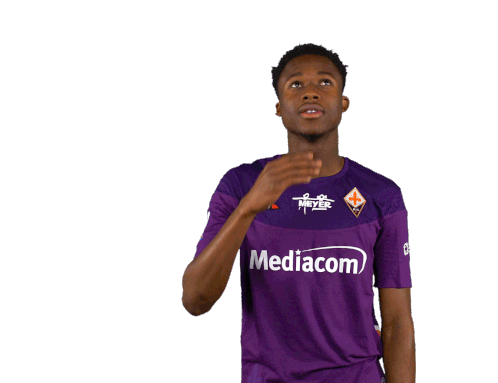 Acf Fiorentina Fiorentina Sticker - Acf Fiorentina Fiorentina Viola Stickers