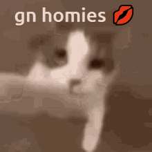 Gn Homies GIF - Gn Homies GIFs