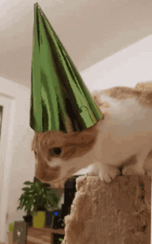 Cute Cat Happy Birthday GIF - Cute Cat Happy Birthday GIFs