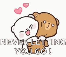Never Let You Go Hugs GIF - Never Let You Go Hugs Bear GIFs