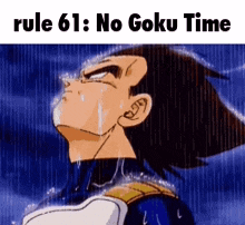 a cartoon character is crying in the rain with the words rule 61 : no goku time above him .