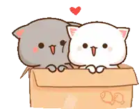 a cartoon cat and a white cat are sitting in a cardboard box