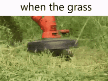 grass mowing
