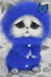 a blue and white cat with a blue butterfly on its head