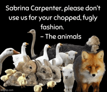 a fox surrounded by rabbits and ducks with a quote from sabrina carpenter on the bottom