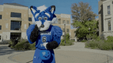 Indiana State Indiana State Sycamores GIF - Indiana State Indiana State Sycamores Sycamores GIFs