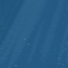 Ocean Swim GIF - Ocean Swim Shark GIFs