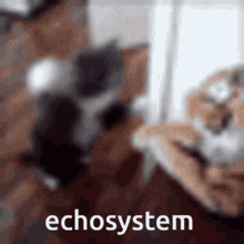 Echosystem Omori Echo GIF