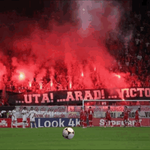 Uta Arad GIF - Uta Arad Football GIFs