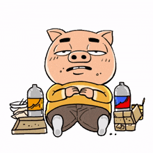 pigs piglets fat piglet plump