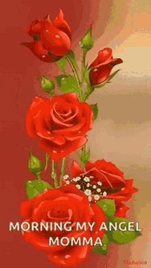 Flowers Rose GIF - Flowers Rose Plant GIFs