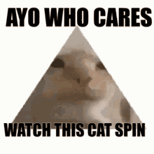 Cat Spin Pyramid GIF - Cat Spin Pyramid GIFs
