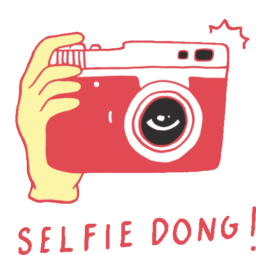 Camera In Hand With Text Selfie Dong In Indonesian Sticker - Lostin Paradise Camera Selfie Dong Stickers