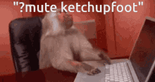 Ketchupfoot GIF - Ketchupfoot GIFs