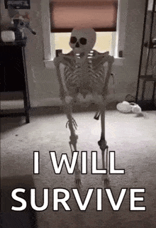 a skeleton is standing in a room with the words `` i will survive '' .
