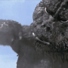 Godzilla Nunthin GIF - Godzilla Nunthin Numpkin GIFs
