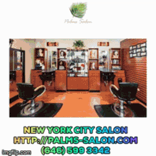 New York City Salon Best Hair Salon In Nyc GIF - New York City Salon Best Hair Salon In Nyc Palms Salon GIFs