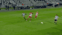 Zivkovic Goal GIF
