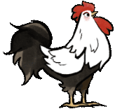 a cartoon rooster with a red crest is standing on a white background