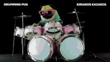 Drumming Pug Pug Drums GIF - Drumming Pug Pug Drums Drummer GIFs
